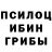 Галлюциногенные грибы GOLDEN TEACHER ULUG MASSIV