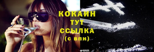 крисы Карпинск