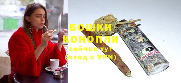 крисы Карпинск