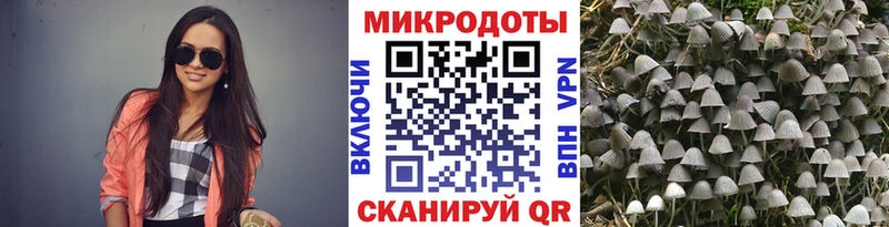 Купить  Зеленоградск  Псилоцибиновые грибы Psilocybine cubensis 